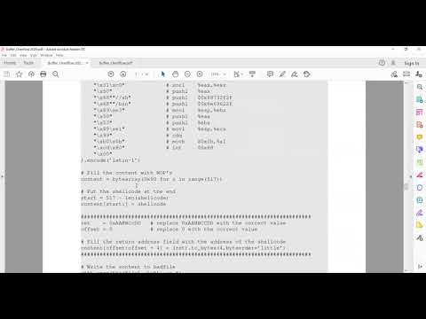 ITS 450 - Lab - Buffer Overflow