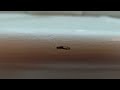 Termites Chomping on the Window Frame in Rocky Hill, NJ