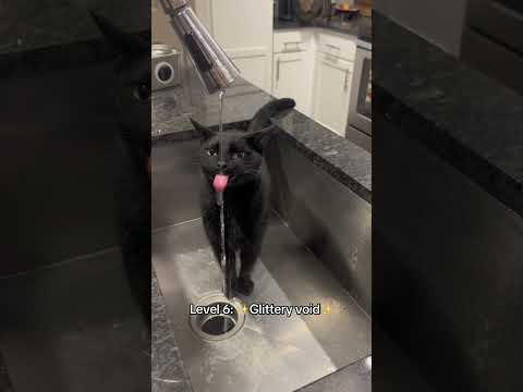 Do you like black cats? 🖤 #cats #cat #kitten #funnycats #tiktok #tiktokcats #cute #blackcat