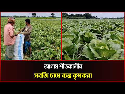 আগাম শীতকালীন সবজি চাষে ব্যস্ত কৃষকরা 
