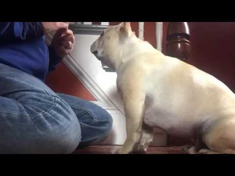 Ragan Learns To Shake