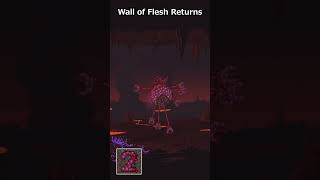 【Terraria】Which Wall of Flesh is your favorite?