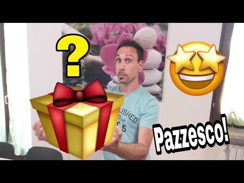 Non ci credo! Un regalo inaspettato da una Fan!