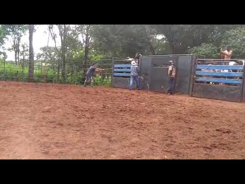 Emerson vs pgmeu cia vale dos sonhos #treino