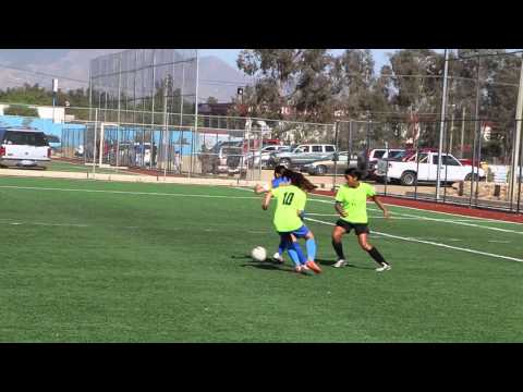 Ceffo A Joaquin vs Ceffo 2004 Memo