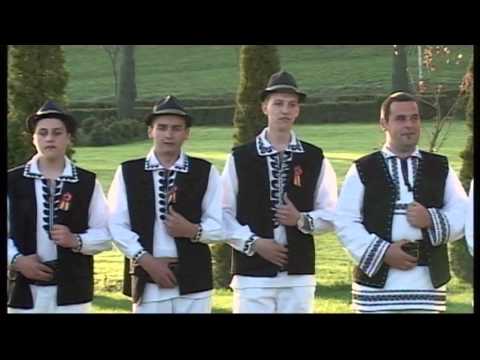ANSAMBLUL RITMURI ZARANDENE Grup barbatesc - De ce mandra n ai venit avi