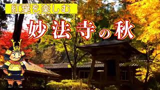 【紅葉】新潟県本山妙法寺の秋の風景2021