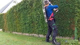 Hecke schneiden-Hecke Schnitt Tuja Trimming Conifer Stihl HLA 56