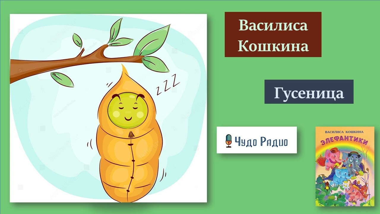 Кошкина Василиса. Гусеницы