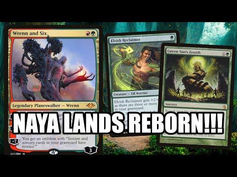 When Your Modern Pet Deck ACTUALLY WINS!