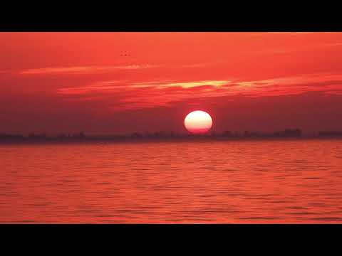 Dapa Deep feat. Amberli - Nenoriu Tylėti