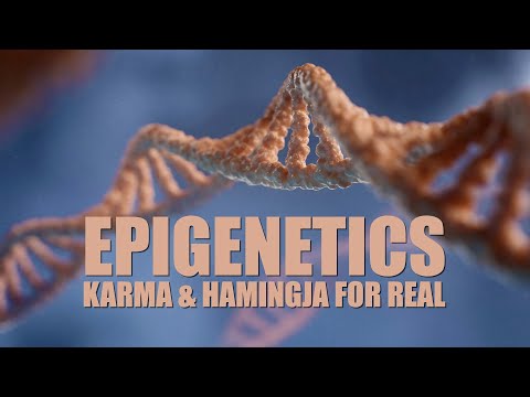 Hamingja & Karma Are Real – Epigenetics Now Confirms It