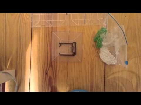 This is how I make the goomba shoe from Mario!