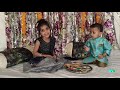 Eiyana Dev Raksha Bandhan Song Hindi Song Raymon Old Song Behana Ne Bhai Ki Kalai Se