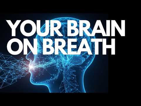Study Shows What Happens to Your Brain After 40 Connected ...