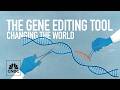 CRISPR Based Gene Editing Revolutionized Medicine What S Next