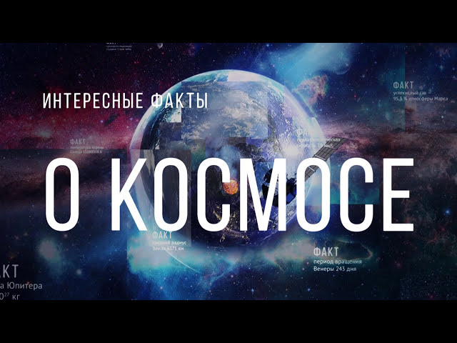 Обложка видео "Первые животные в космосе"