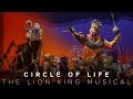 Circle Of Life The Lion King Musical