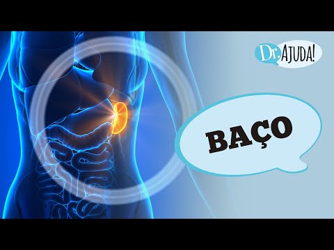 BAÇO: O QUE É? QUAL SUA FUNÇÃO? POR QUE PODE AUMENTAR DE TAMANHO?