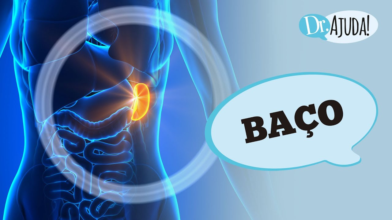 BAÇO: O QUE É? QUAL SUA FUNÇÃO? POR QUE PODE AUMENTAR DE TAMANHO?