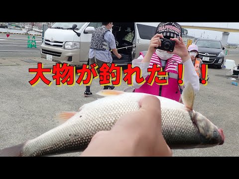 青森 八戸 手ぶらで大物狙い 海釣り体験 初心者 女性 お子様大歓迎 ご家族で楽しめる アクティビティジャパン