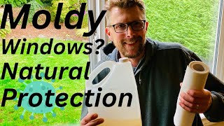 How to Naturally Clean Mold & Mildew from Windows