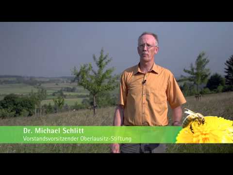 Umweltpreis 2013 - Preisträger: Oberlausitz-Stiftung