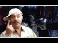 Nicolae Guta Si Don Genove Dau Cu Suta Pe La Barba Manele Vechi