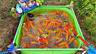 Download lagu Fishing for betta fish, catfish, carp, ornamental fish, lobster, duck, rabbit, bird, turtle.part409 mp3