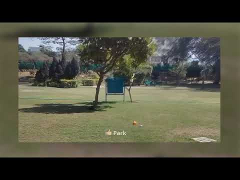 Walkthrough Walkthrough