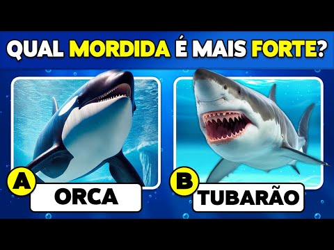 🧠 How Well Do You Know Sea Animals? 🐳🐠 ✅ General Knowledge Quiz