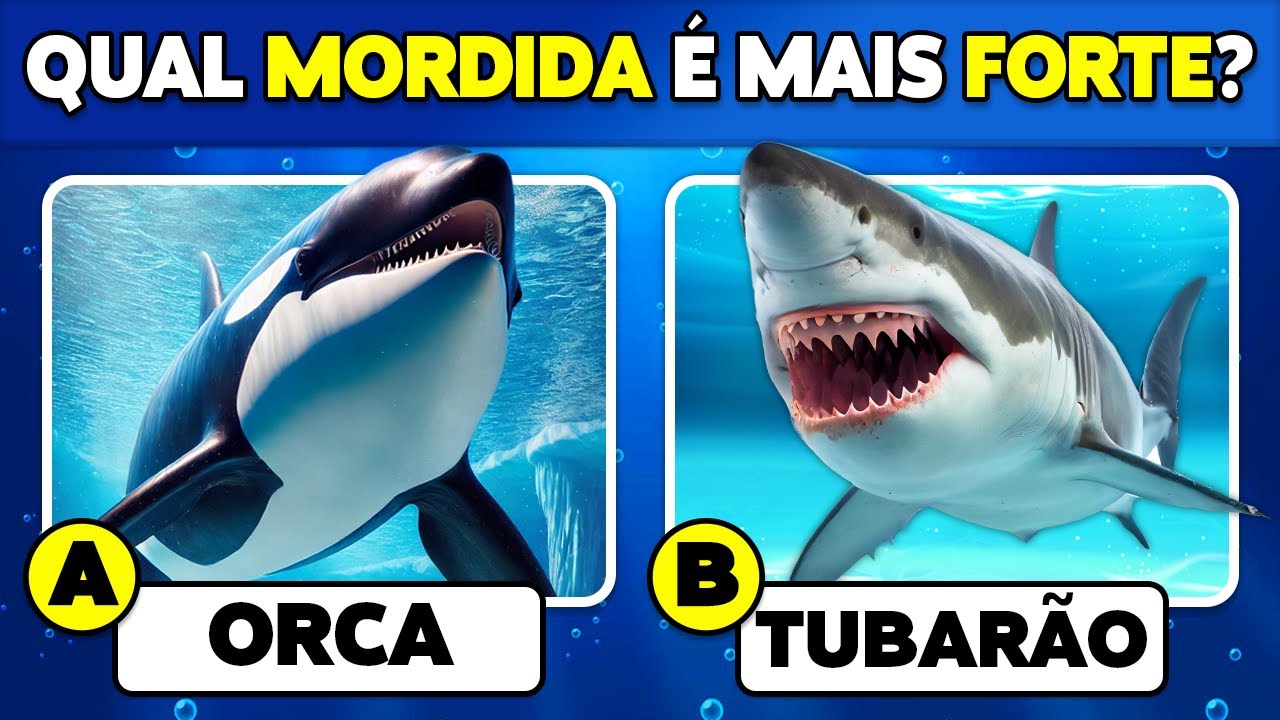 🧠 Quão Bem Você Conhece os Animais do Mar?🐳🐠✅ Quiz de Conhecimentos Gerais