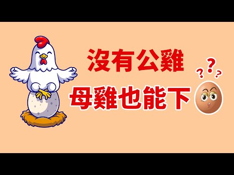 雞是怎麼來的
