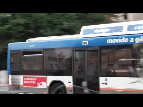 STCP linha 805 veiculo 3118