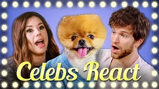 CELEBS REACT TO HOWTOBASIC