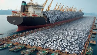 How European fishermen catch hundreds of tons of salmon and shrimp with trawls in the Pacific Ocean