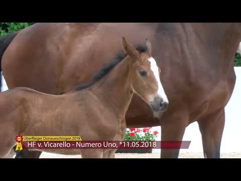 KN 15: HF von Vicarello - Numero Uno