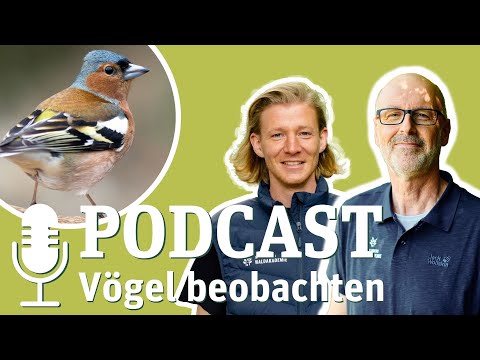 Live and up close: The podcast "Peter and the Forest - Winter Birdlife" with lecturer Jonas