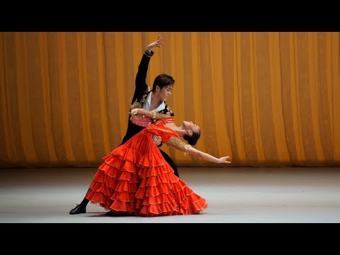 XII Moscow International Ballet Competition 2013 - Don Quixote "Bolero" Regina Montgomery