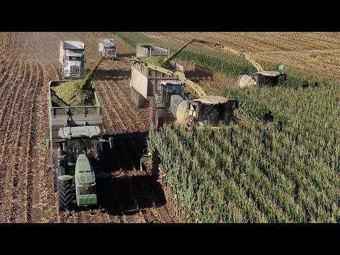 Corn Silage Harvest 2025 | Klein’s Custom Chopping with Krone Power | Settings—Higher-Quality 