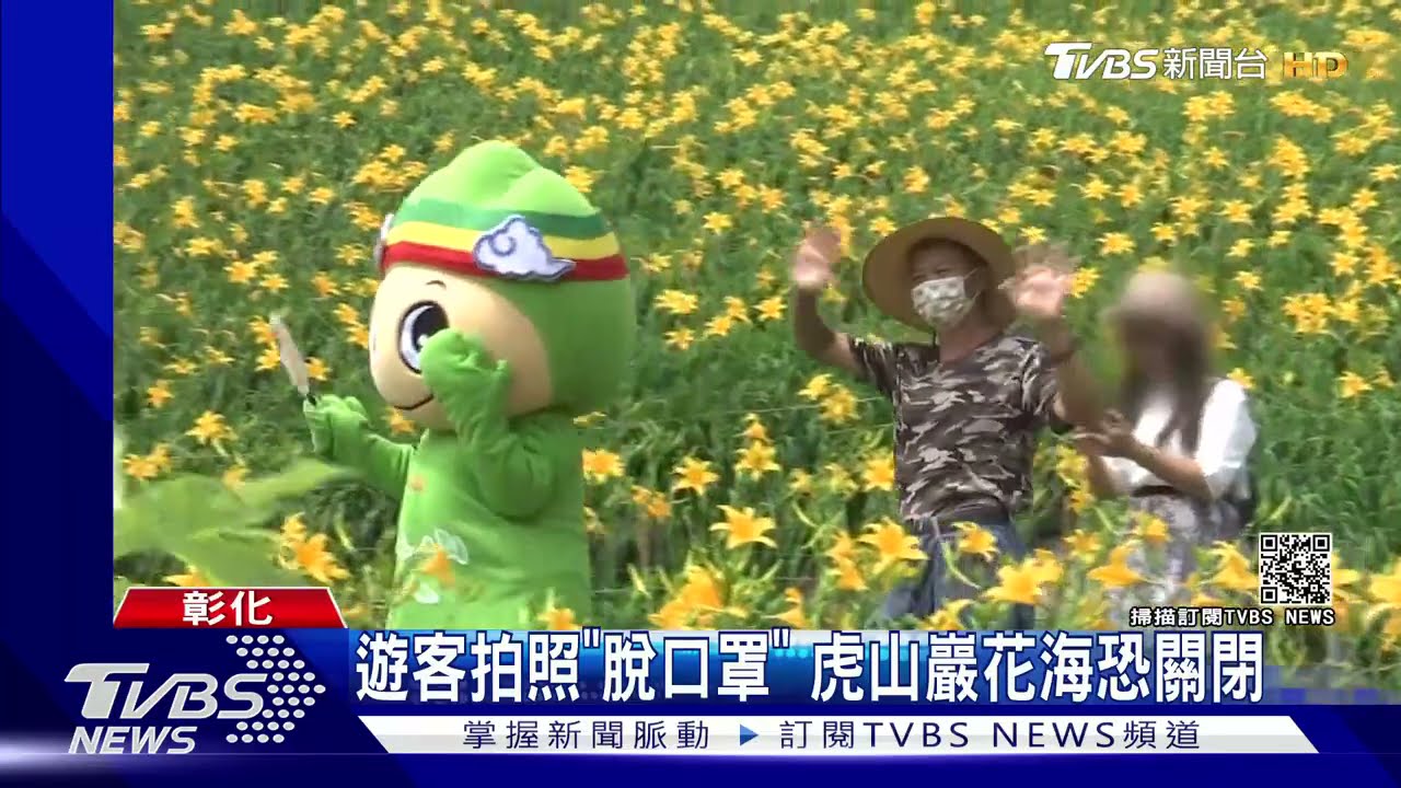 遊客拍照「脫口罩」 虎山巖花海恐關閉