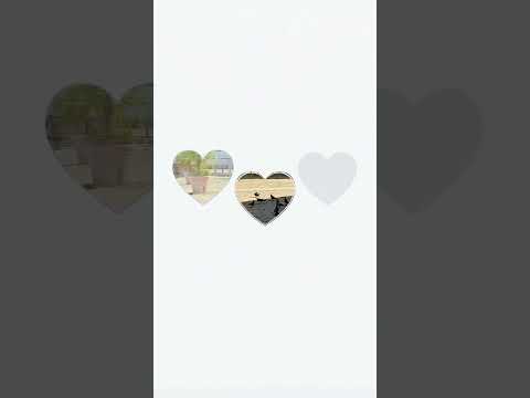 Plaza de las palomas Habana vieja cuba