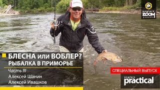 Чем блесна отличается от воблера