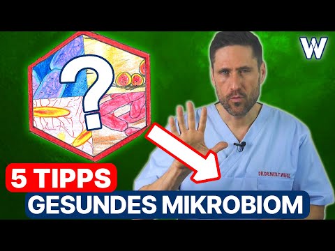 5 Tipps für ein gesundes Mikrobiom: Stärken Sie Ihre Darmflora für ein funktionierendes Immunsystem!