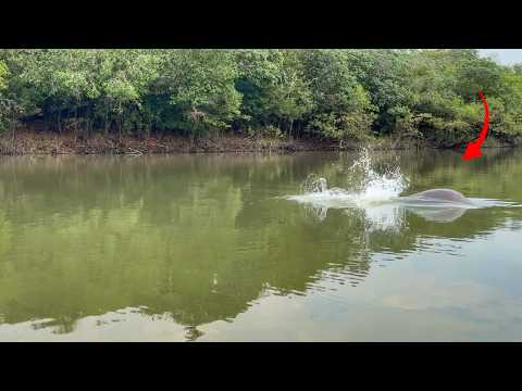 ERA ENORME E DEVIA PESAR MAIS DE 200KG... EM BUSCA DO LAGO SECRETO! Pescaria part.1