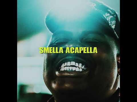 BigXThaPlug - Whip It (133 BPM Acapella)