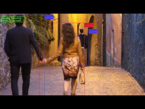 People counting / unauthorized area setting