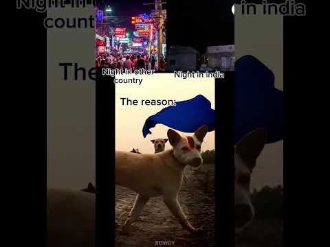 Street dogs supremacy 😈 #viralvideo ‎⁨@Chitu_chunks⁩  ‎⁨@Chitu_chunks⁩ 