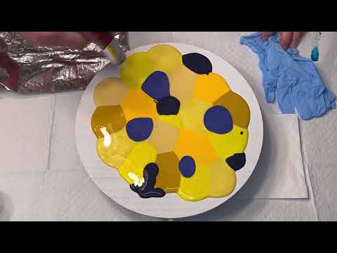 Did Bear Follow The Yellow Brick Road?