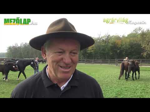 SIKERES PROGRAM A MURAKÖZI LÓ REKONSTRUKCIÓJA – Rácz Károly